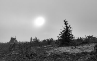 Murha Manolaissaaressa